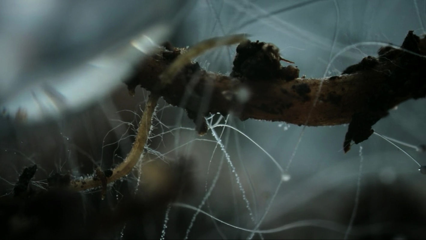 Super/Natural - 'Strange Relations' - Disney+